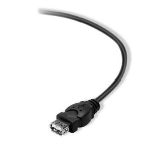 Belkin 10 ft. Ext. USB Cable F3U153 10 SN