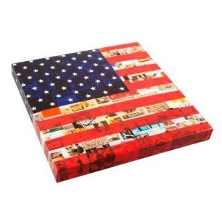 Onsia 24 in. x 24 in. US Flag Museum Wall Art with Wrap Speaker O27 00