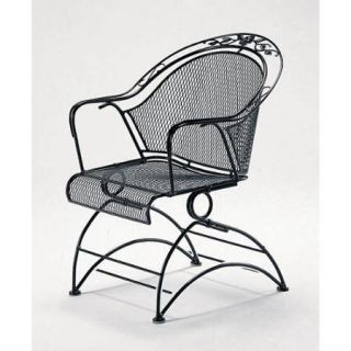 Coil Spring Barrel Chair Rocker in Wrought Iron w Floral Accents   Windflower Mesh (Mayan)