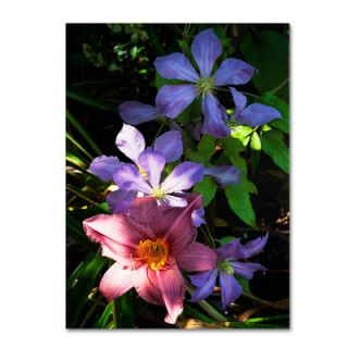 Clematis and Lily by Kurt Shaffer Photographic Print Gallery Wrapped
