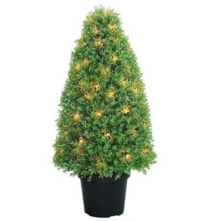 National Tree Company 36 in. Boxwood Tree with Dark Green Growers Pot with 70 Clear Lights LBX4 300 36