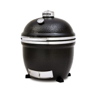 Kamado Joe BigJoe Stand Alone Grill with Heat Deflector