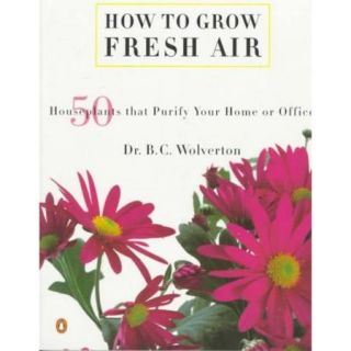 How to Grow Fresh Air 50 Houseplants That Purify Your Home or Office