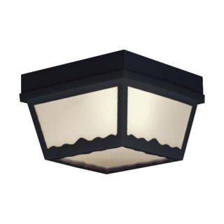 Lighting Ceiling Lights Flush Mount Ceiling Lights Thomas Lighting SKU