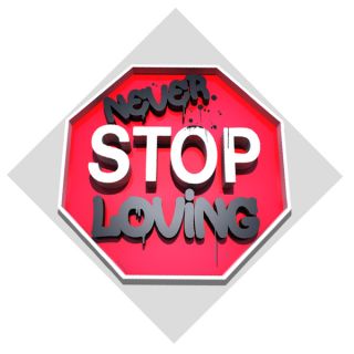 Maxwell Dickson Never Stop Loving Gallery wrapped Canvas Art