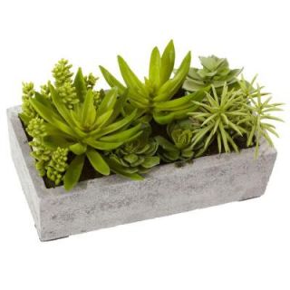 Nearly Natural Succulent Garden with Concrete Planter 4841