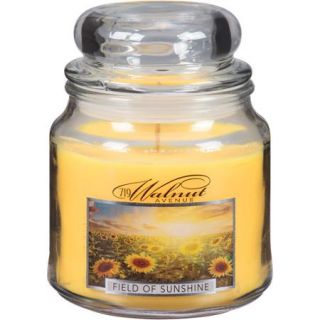 719 Walnut Avenue Field of Sunshine Candle, 14 oz