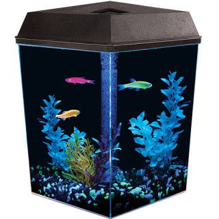GloFish 1 Gallon Aquarium Kit