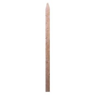 Barrette 7/16 in. x 3 in. x 6 ft. Natural Spruce Pine Fir Gothic Fence Picket 73090308