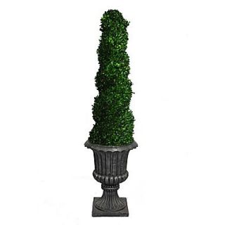 Laura Ashley 64 Preserved Spiral Boxwood Topiary in 16 Fiberstone Planter, Black/Brown