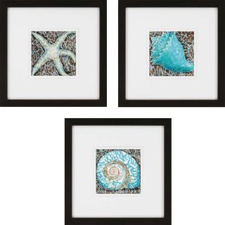 Paragon Turquoise Shells by Hyman 3 Piece Framed Graphic Art Set