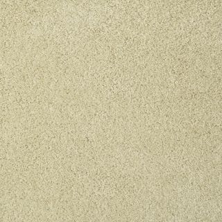 STAINMASTER TruSoft Best of Class Moonglow Plush Indoor Carpet