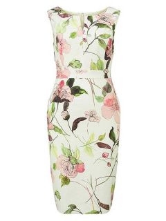 Phase Eight Lizzy floral dress