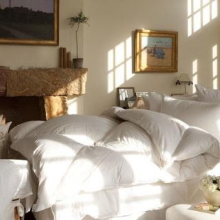 Down to Basics Down Comforter