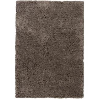 Chandra Bancroft Grey 5 ft. x 7 ft. 6 in. Indoor Area Rug BAN7402 576