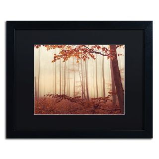 Trademark Fine Art The Last of Fall by Philippe Sainte Laudy Framed