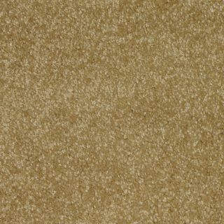 STAINMASTER Ryland Puppy Love Cut Pile Indoor Carpet