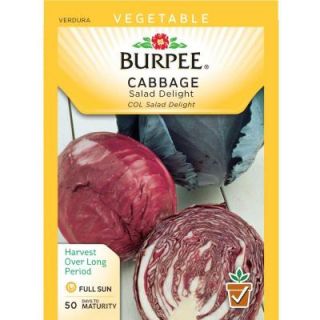 Burpee Salad Delight Cabbage Seed 53987