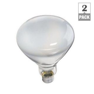 Philips DuraMax 65 Watt Incandescent BR40 Indoor Flood Light Bulb (2 Pack) 139279