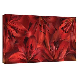 ArtWall Cora Niele Lily Landscape Red Gallery Wrapped Canvas