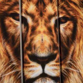 Design Art Hear Him Roar   Lion 5 Piece Graphic Art on Gallery Wrapped