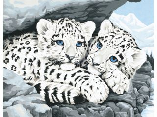 Paint By Number Kit 14"X11" Snow Leopard Cubs