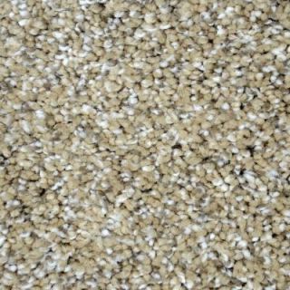 LifeProof Carpet Sample   Graceful Style I   Color Stanton Texture 8 in. x 8 in. EF 298601825