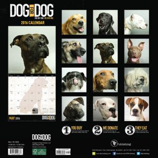 2016 Dog for Dog Wall Calendar by TFPublishing