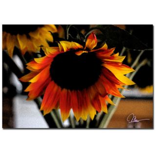 Sunflower Bloom by Martha Guerra Photographic Print on Canvas