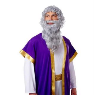Deluxe Biblical Long Gray Moses Wig & Beard
