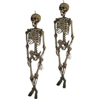5' Hanging Halloween Skeleton (Value 2 Pack)