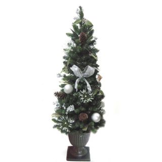 allen + roth 5 ft Pre Lit Pine Artificial Christmas Tree with White Incandescent Lights