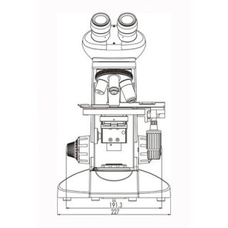 Labomed CxL 100x Monocular LED