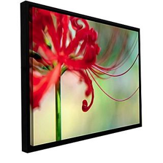 ArtWall Soft Spring Gallery Wrapped Floater Framed Canvas 36 x 48 (0uhl169a3648f)