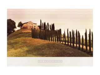 Tuscan Hills Poster Print by Jim Chamberlain (36 x 24)