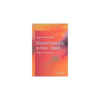 Electrochemistry in Ionic Liquids (Hardcover)