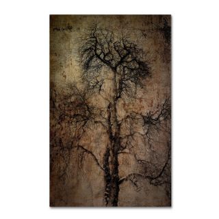 Erik Brede Grungy Tree Canvas Art   17532126  