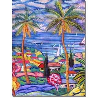 Trademark Fine Art "Hawaii Wind Surf" Canvas Art by Manor Shadian