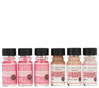 Perfect Formula Set of 6 Gel Coat Polishes Auto Delivery —