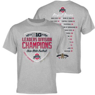 Ohio State Buckeyes 2012 Big Ten Leaders Division Champions T Shirt   Ash