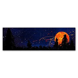 Trademark Fine Art Roderick Stevens Washington Moonrise  10 x 32 (RS1015 C1032GG)