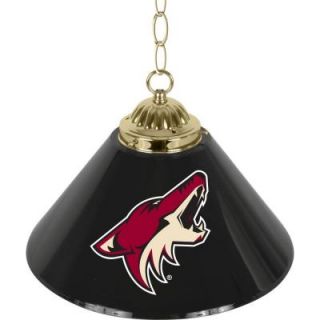Trademark Global NHL Phoenix Coyotes 14 in. Single Shade Stainless Steel Hanging Lamp NHL1200 PC