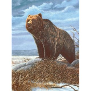 Junior Small Paint By Number Kit 8.75X11.75 Grizzly Bear   16813840