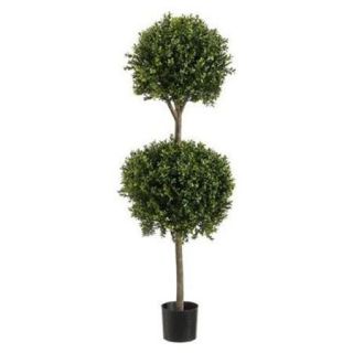 LPB234 GR TT 4 ft. Double Ball Boxwood Top Two Tone Green  Case of 1