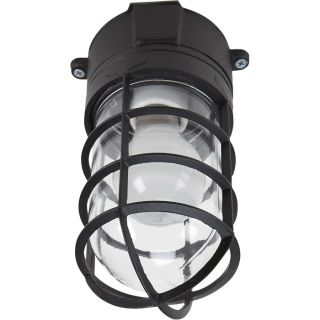 Wall Mount Barn Light / Indoor/Outdoor Sconce Light — 110 Volt