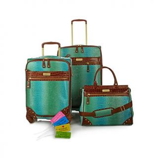 Samantha Brown Ombre Collection 3 piece Spinner Set   7909827