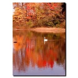 Kurt Shaffer Autumn Swan Canvas Art  ™ Shopping   Top