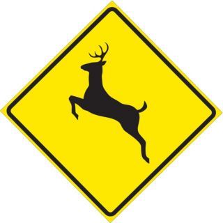 BRADY Symbol Deer Crossing Pictogram, Engineer Grade Aluminum Traffic Sign, Height 24", Width 24"   Parking and Traffic Signs   6GML1|115649