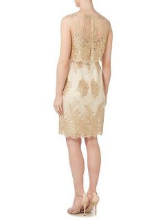 Adrianna Papell Embroidered organza shift dress with pop over Gold