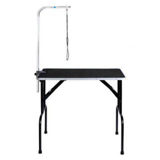Master Equipment Dog Grooming Table with Arm